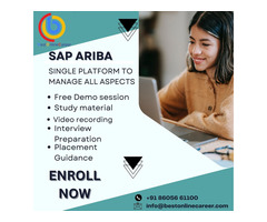 Learn SAP Ariba online training with Best Online Career - Image 2/4