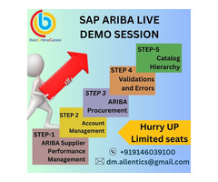 Learn SAP Ariba online training with Best Online Career - Image 4/4