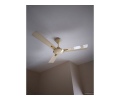 4 number of ceiling fans in working condition - Image 2/8