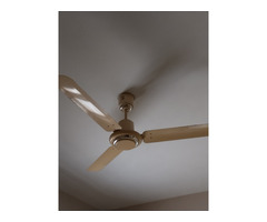 4 number of ceiling fans in working condition - Image 4/8