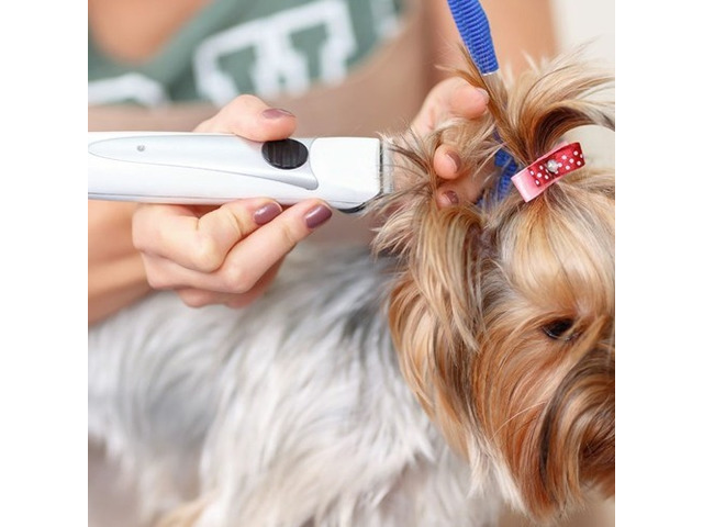 Second hand dog 2024 grooming equipment for sale