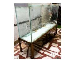 Aquarium with Stand | Premium Thick Glass with Rustfree Iron Stand - Image 4/5