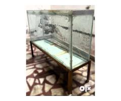 Aquarium with Stand | Premium Thick Glass with Rustfree Iron Stand - Image 5/5