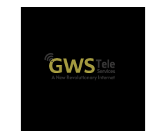 GWS Tele Services | Internet Service in Bilaspur, chhattisgarh - Image 1/2