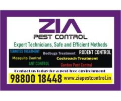 Bedbug Treatment | Ant and General Pest Control  service | 1822 - Image 1/2