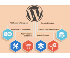 wordpress web development company in india - Image 1/2