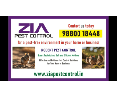 Pest Control | get rid of pests | pest-free environment Zia  | 1734 - Image 1/2