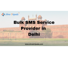 Bulk SMS Service Provider in Delhi | Try Free SMS Now - Image 1/2