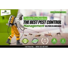 The Best Pest Control Management Solutions in Ahmedabad - Image 1/3