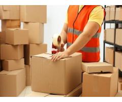 FedEx Gurgaon Shipping Service