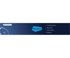 Accelerate Growth: DrizzleIT - Your Trusted Salesforce Partner - Image 2/2