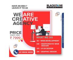 Innovative Web Design Solutions with Blackstone Informatics - Image 1/2