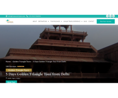 private tour golden triangle - Image 1/4