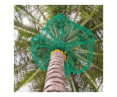 Best Coconut Tree Safety Nets in Bangalore. Call - 6362539199 - Image 3/4