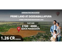 Shriram Pristine Estates @ ₹ 1.26 Cr* | Plots In Doddaballapura - Image 3/3