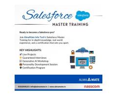 AlmaMate Info Tech | Best Salesforce Training - Image 2/2