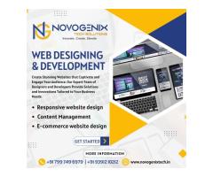 Web Development & Digital Marketing Services in Hyderabad NovogenixTech Solutions - Image 2/2