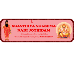 best nadi astrology services