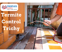 Termite Pest Control Service in Trichy