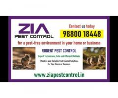 Get rid of Rodent | Rodent Treatment for Appartments | Paying Guest  | 6017