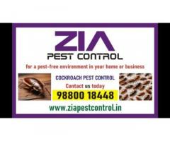 Cockroach Pest Control for Paying Guest Upto 20% Off | Zia Pest Control | 6023