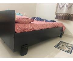 Pepperfry Queen Size Bed With Box Storage In Wenge Finish By Mintwud.