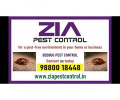 Top Bed Bug Pest Control in bangalore | Zia pest control | 6017