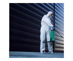 Termite Pest Control Melbourne by Vanguard Eco Solutions – Long-Term Termite Prevention - 1