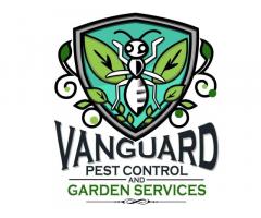 Termite Pest Control Melbourne by Vanguard Eco Solutions – Long-Term Termite Prevention - 2