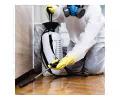 Termite Pest Control Melbourne by Vanguard Eco Solutions – Long-Term Termite Prevention - 3