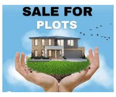 CRDA Approved Open Plots for sale in Nidumukkala - 1