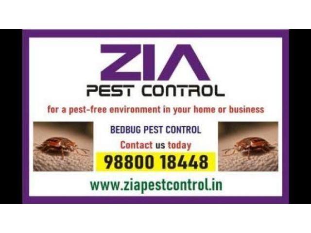 Bed Bug Control | effective bedbug treatments Complete Bangalore | 5038 - 1