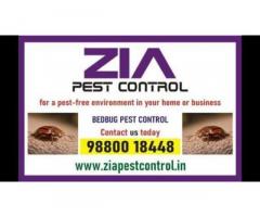 Bed Bug Control | effective bedbug treatments Complete Bangalore | 5038 - 1