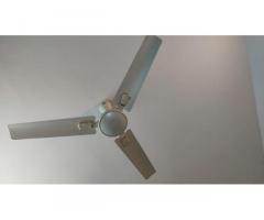 2 stylish and trusted brand fan 6 month old only - 1