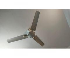 2 stylish and trusted brand fan 6 month old only - 2