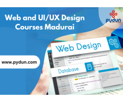 Web and UI/UX Design Courses - 1