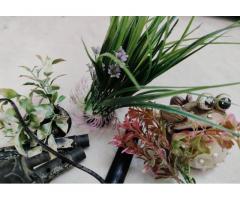 Fish Acquarium - 2