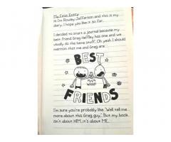 Diary of an Awesome Friendly Kid - 3