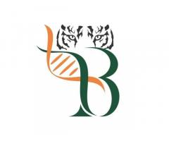 3B BlackBio Biotech India Limited - COVID Rapid Antigen Test