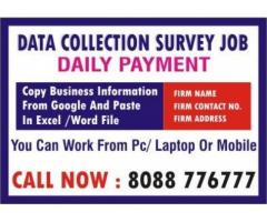 Freelance Survey Jobs | Work From Home | 6002 Home Based Jobs  daily income
