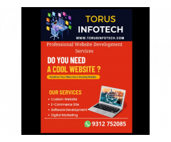 Torus Infotech : Best Website Designing company in Delhi