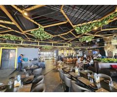 Discover the Charming Ambiance of The Salt Cafe Agra