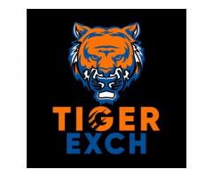 Tigerexch247ID Enhances Every Fantasy Gaming Experience