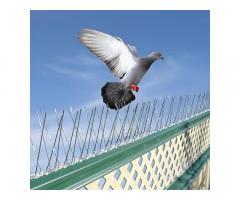 Bird Netting Services in Delhi & Bird Control Solutions