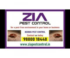 Bed Bug Pest Control | 100% safe and secured service provided  | 7035