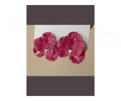 Best Western Earrings Collection for Women