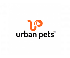 Urban Pets - Dog Shop and Best Pet Shop in Ahmedabad