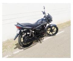 HONDA CB SHINE 2013 MODEL WITH GENUINE CONDITION - 72001@99913 : TIRUPATTUR