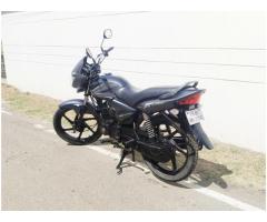 HONDA CB SHINE 2013 MODEL WITH GENUINE CONDITION - 72001@99913 : TIRUPATTUR - 9