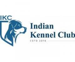 Indian Kennel Club – Trusted Source for Dog Breeds, Care & Registration in India
